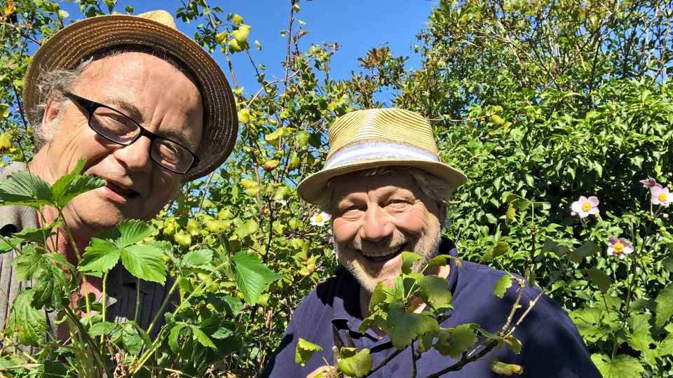 Jens Schellhaas und sein Freund Schmidtmeyer mit Erbdbeerpflanzen im Garten.